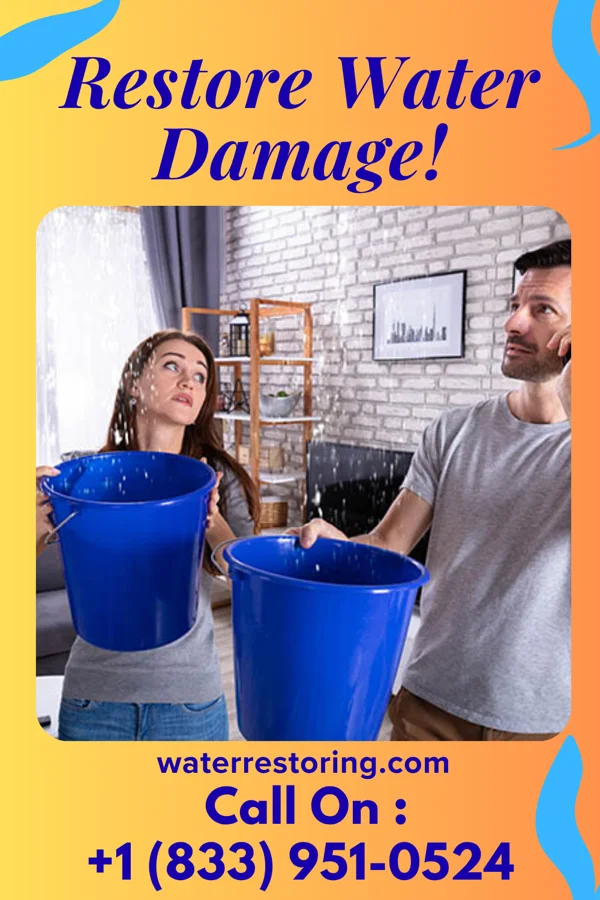 water restoration Master Disaster Recovery Lake Darby