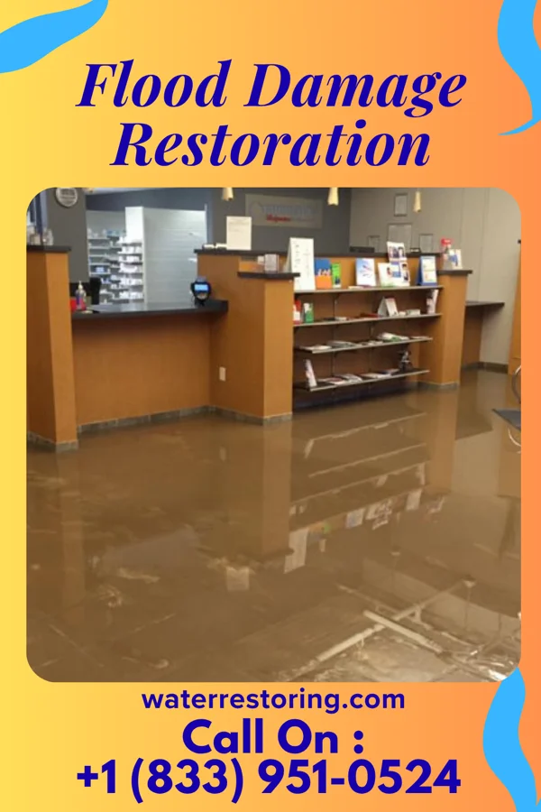 Flood Damage Restoration in Lake Darby, OH