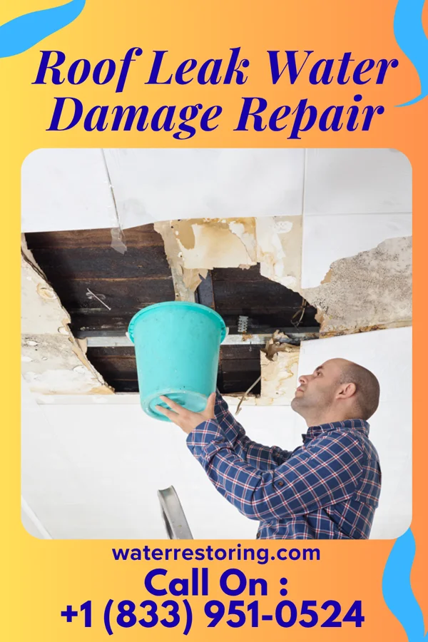 Roof Leak Water Damage Repair in Lake Darby, OH