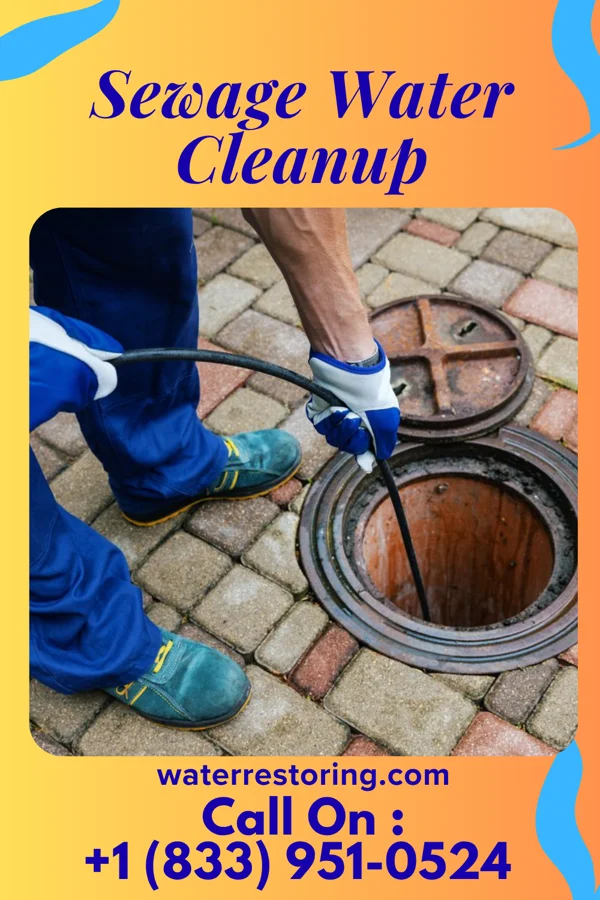 Sewage Water Cleanup in Lake Darby, OH